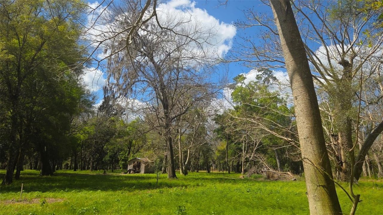 2140 St Johns River Road, Astor, FL 32102 Photo