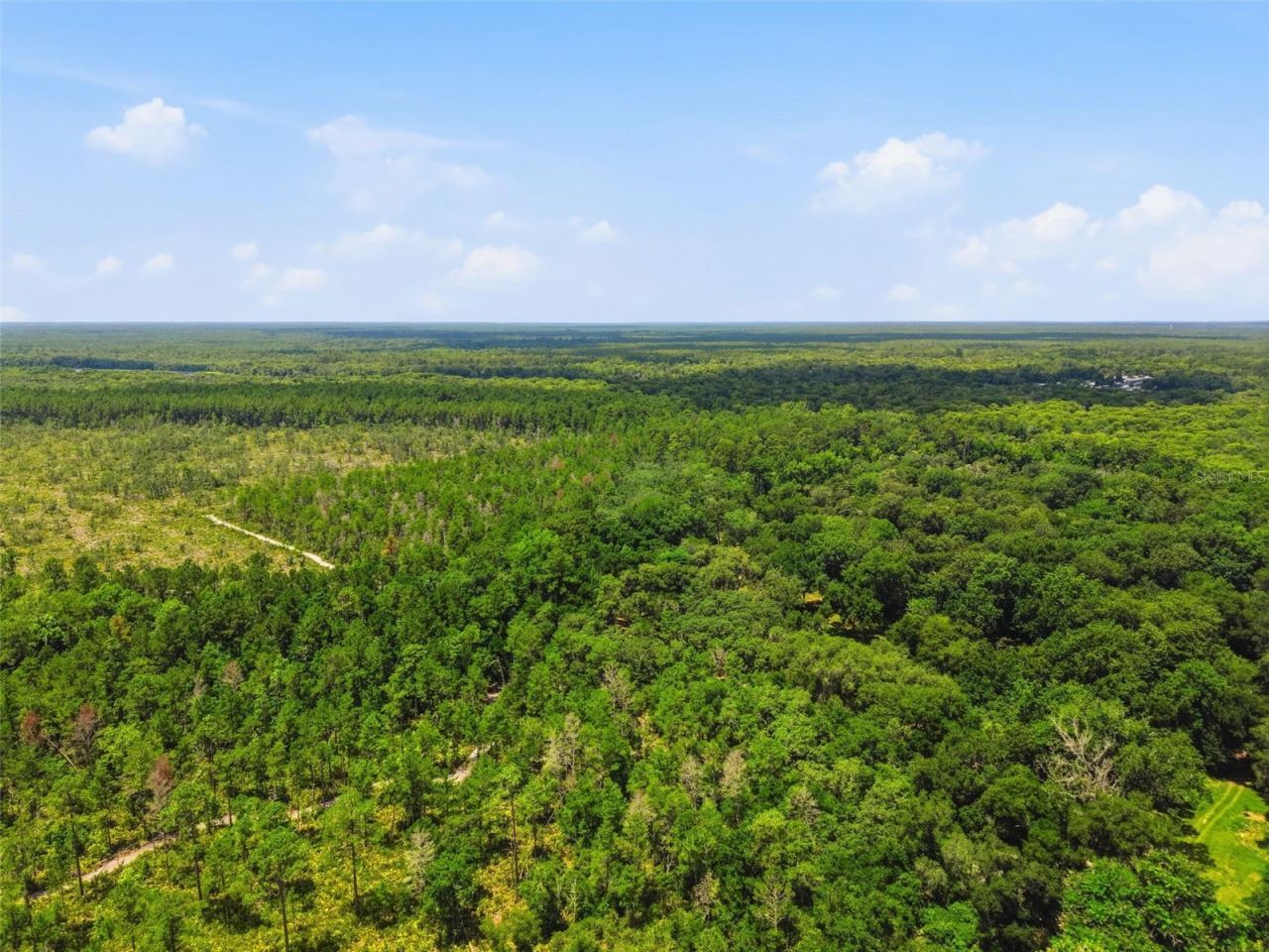 2140 St Johns River Road, Astor, FL 32102 Photo