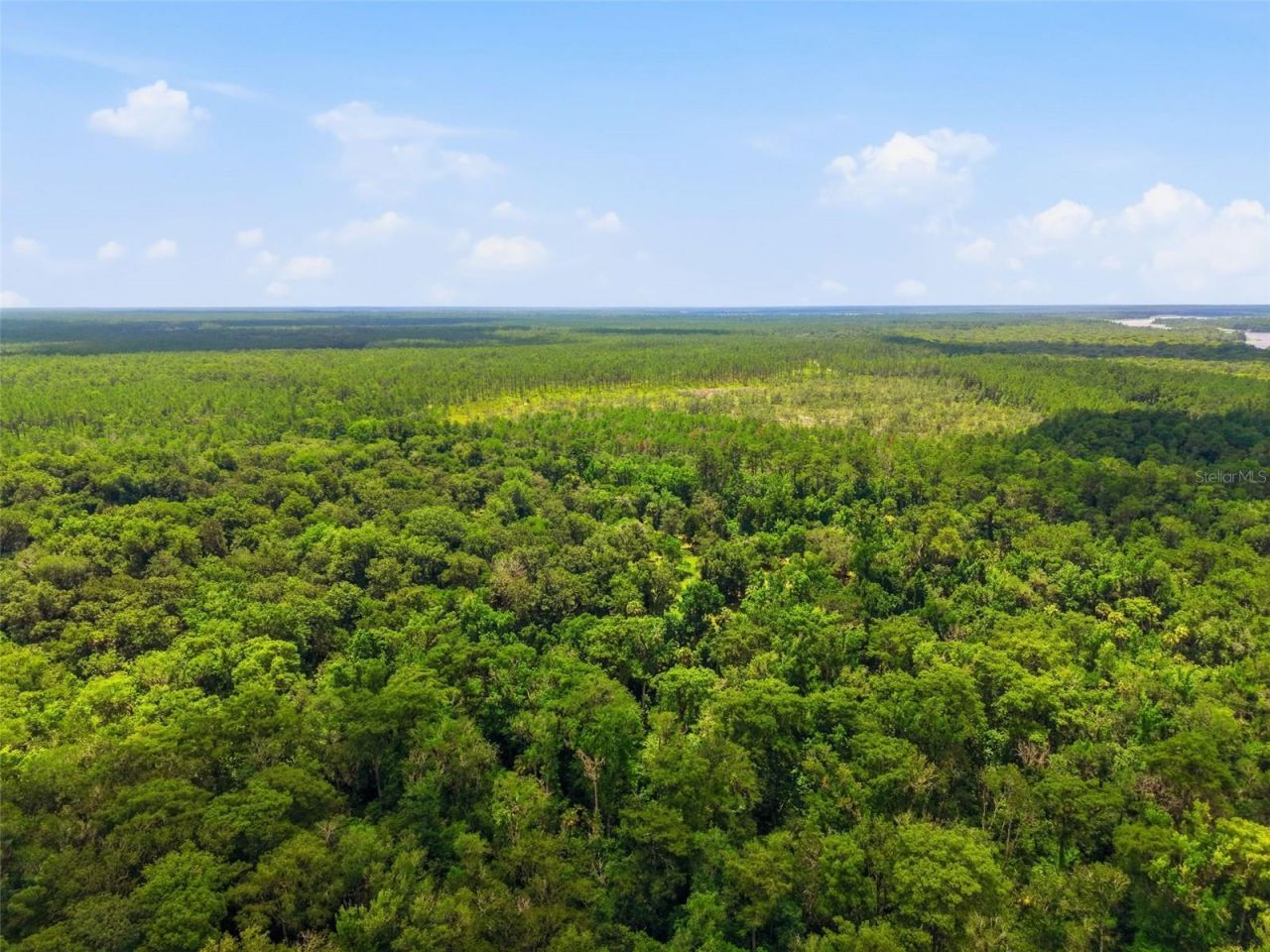 2140 St Johns River Road, Astor, FL 32102 Photo