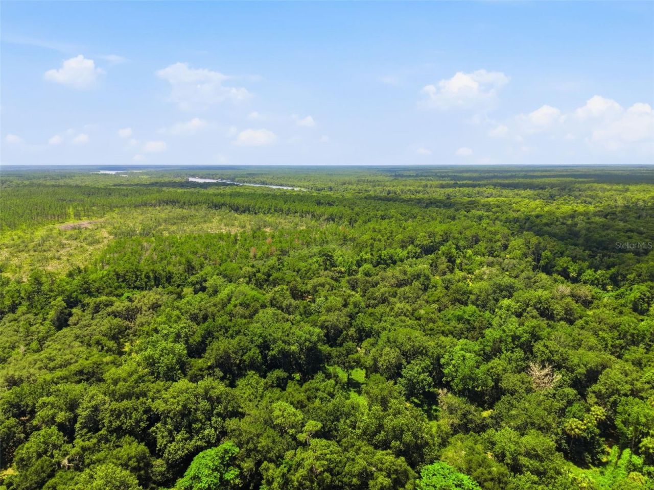 2140 St Johns River Road, Astor, FL 32102 Photo