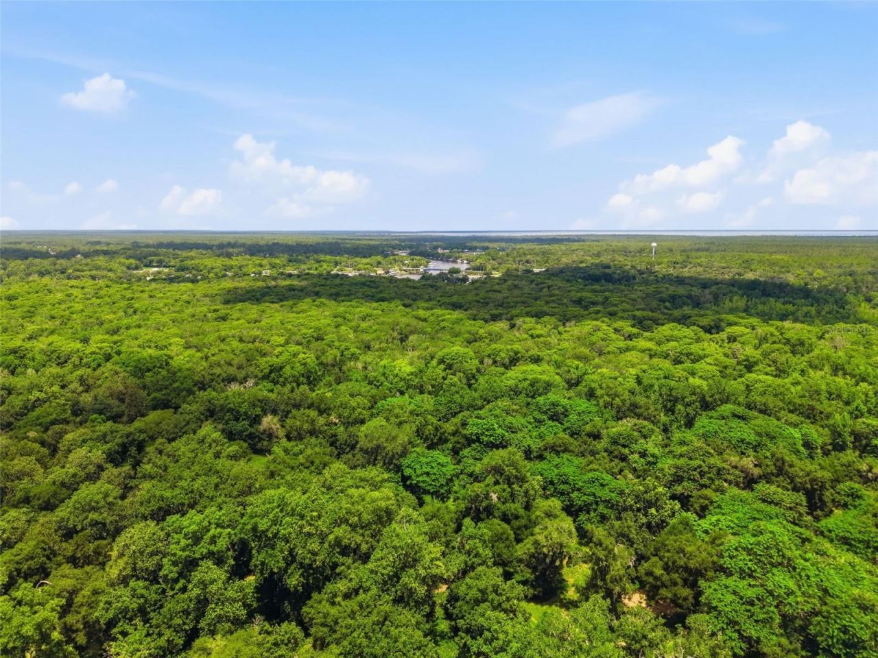 2140 St Johns River Road, Astor, FL 32102 Photo