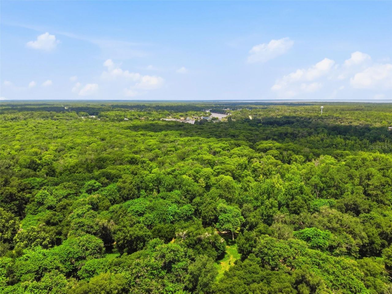 2140 St Johns River Road, Astor, FL 32102 Photo