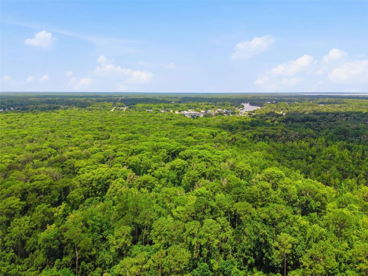 2140 St Johns River Road, Astor, FL 32102 Photo
