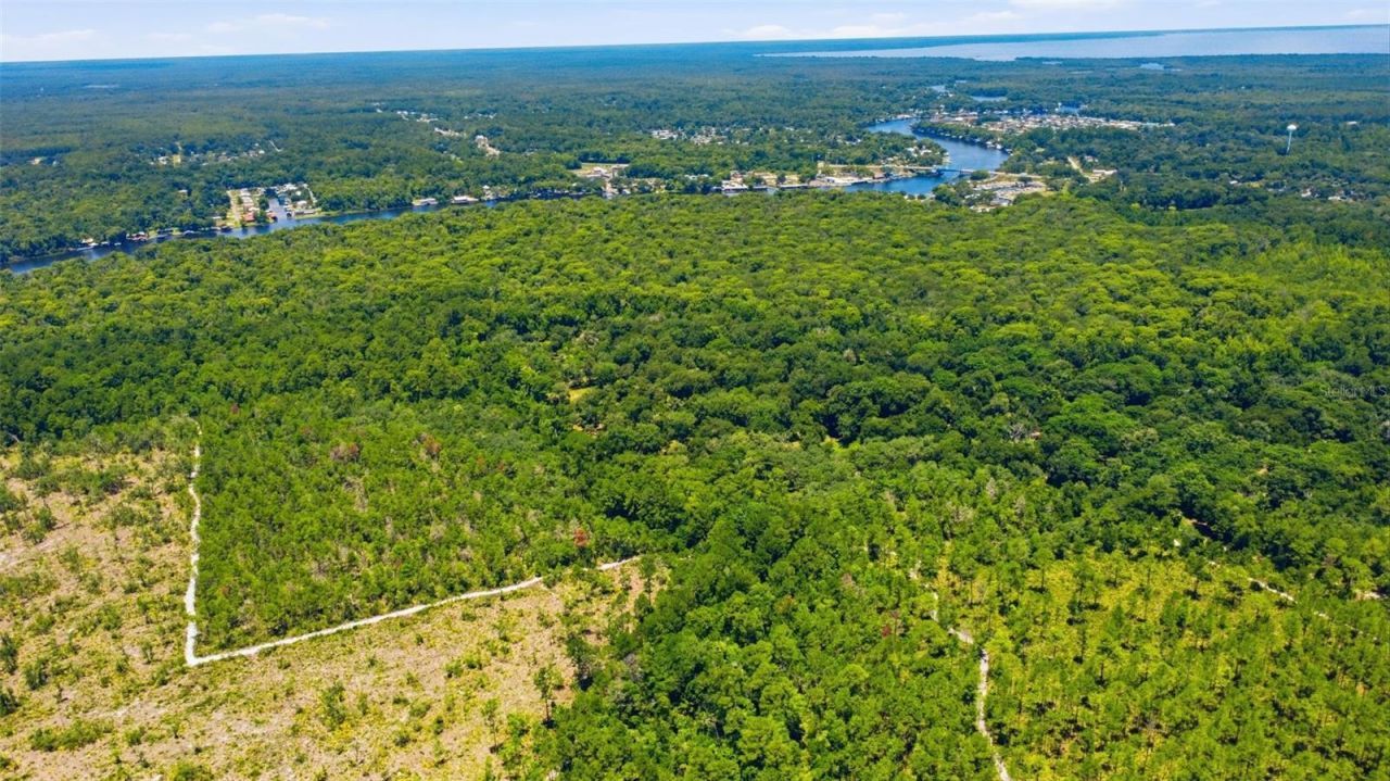 2140 St Johns River Road, Astor, FL 32102 Photo