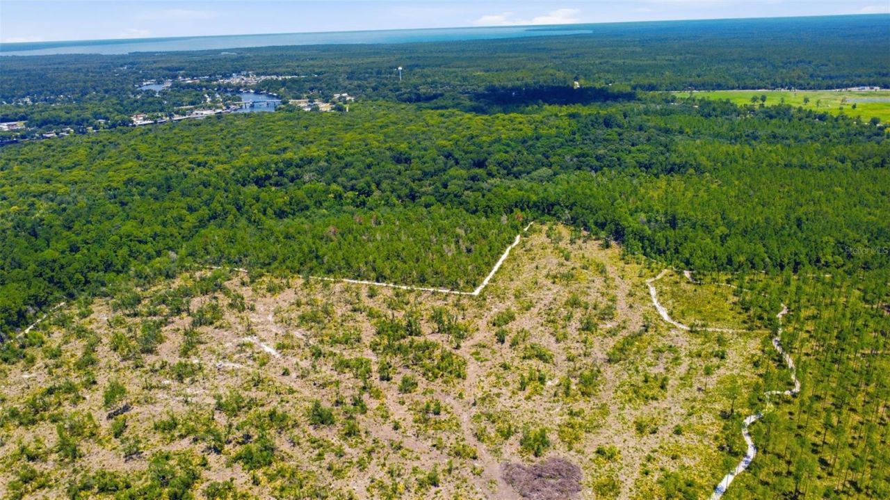 2140 St Johns River Road, Astor, FL 32102 Photo