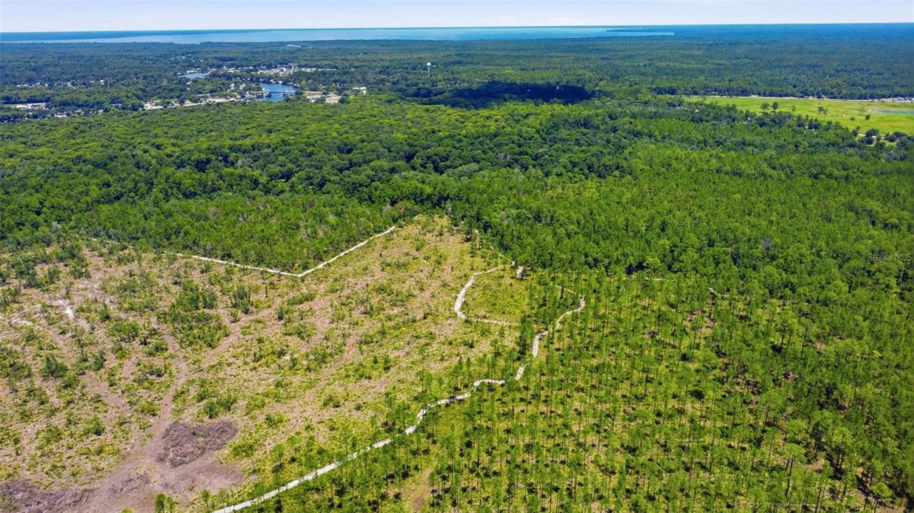 2140 St Johns River Road, Astor, FL 32102 Photo