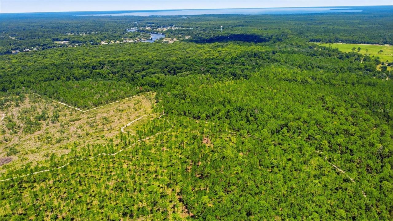 2140 St Johns River Road, Astor, FL 32102 Photo