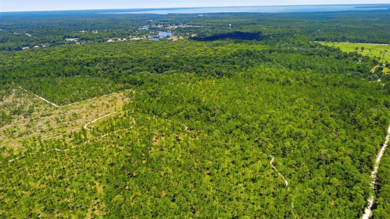 2140 St Johns River Road, Astor, FL 32102 Photo