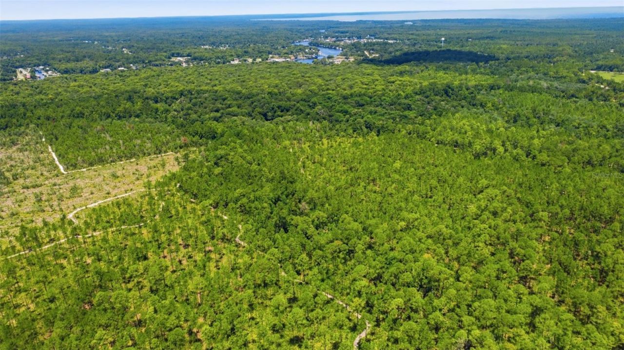 2140 St Johns River Road, Astor, FL 32102 Photo