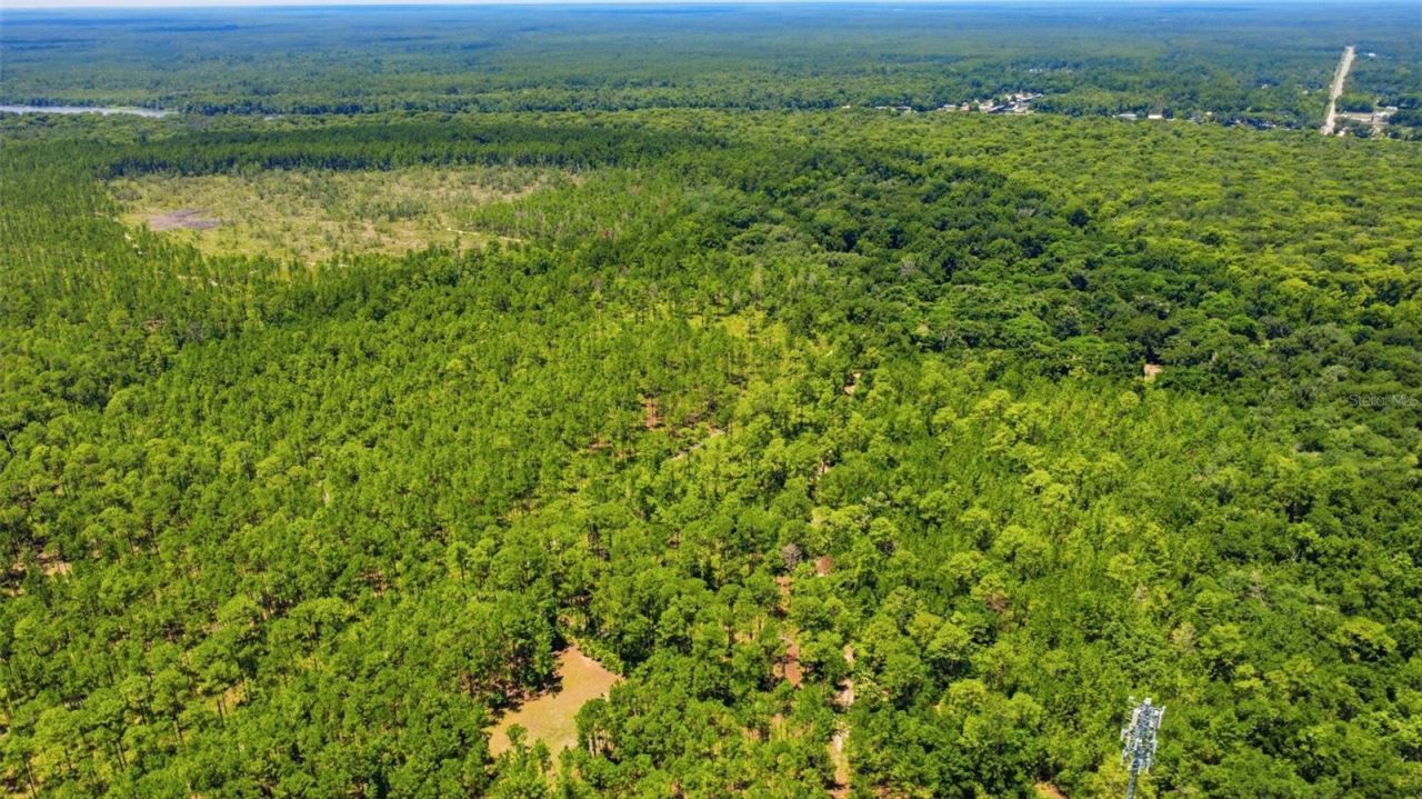 2140 St Johns River Road, Astor, FL 32102 Photo