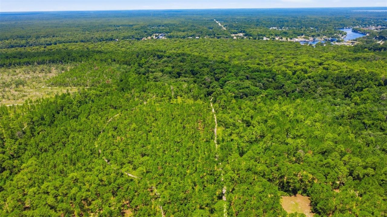 2140 St Johns River Road, Astor, FL 32102 Photo