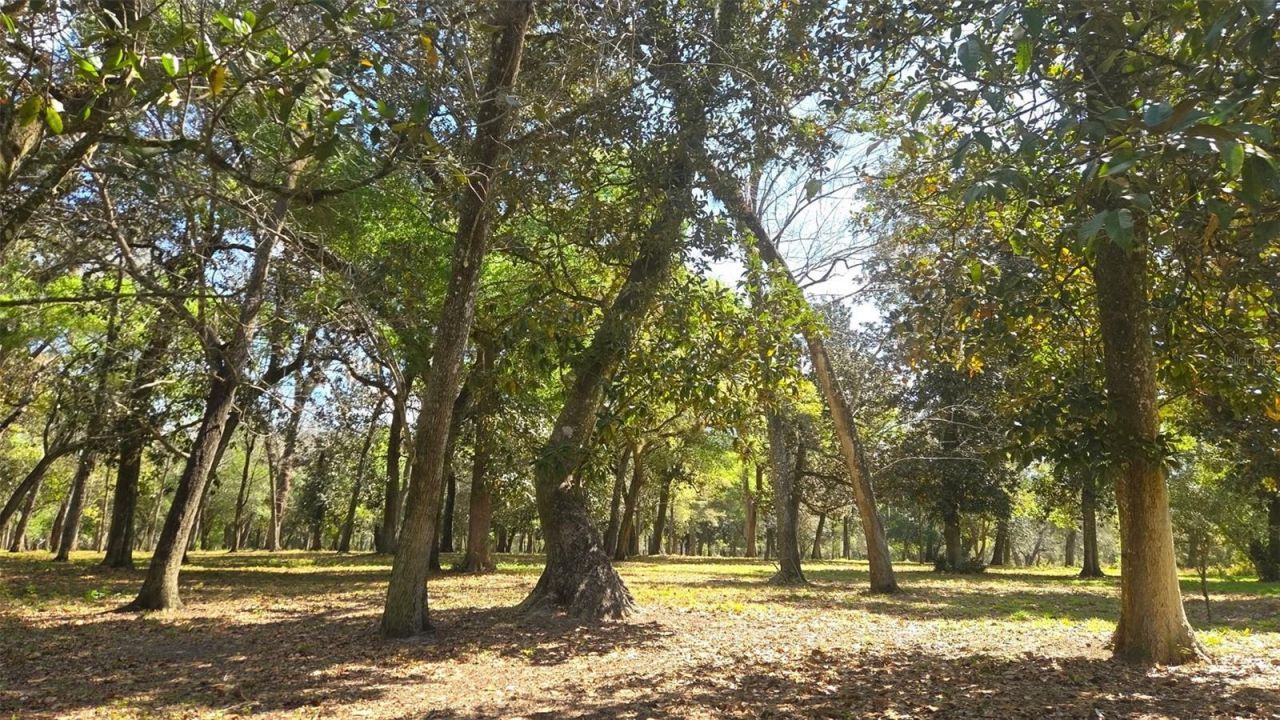 2140 St Johns River Road, Astor, FL 32102 Photo