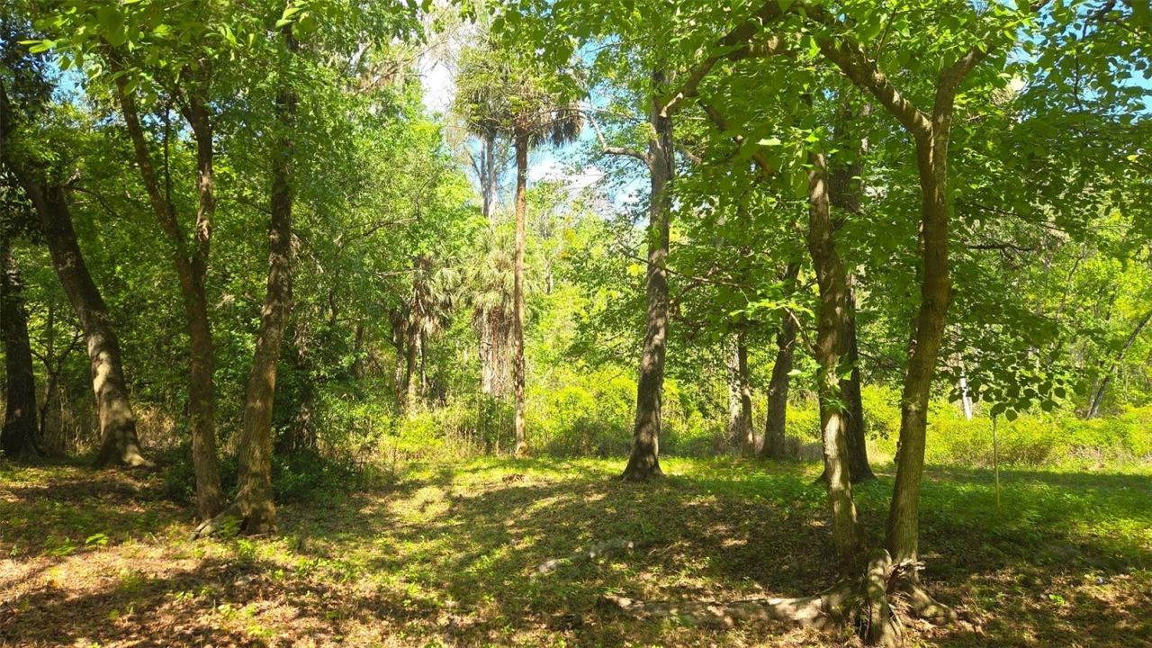 2140 St Johns River Road, Astor, FL 32102 Photo