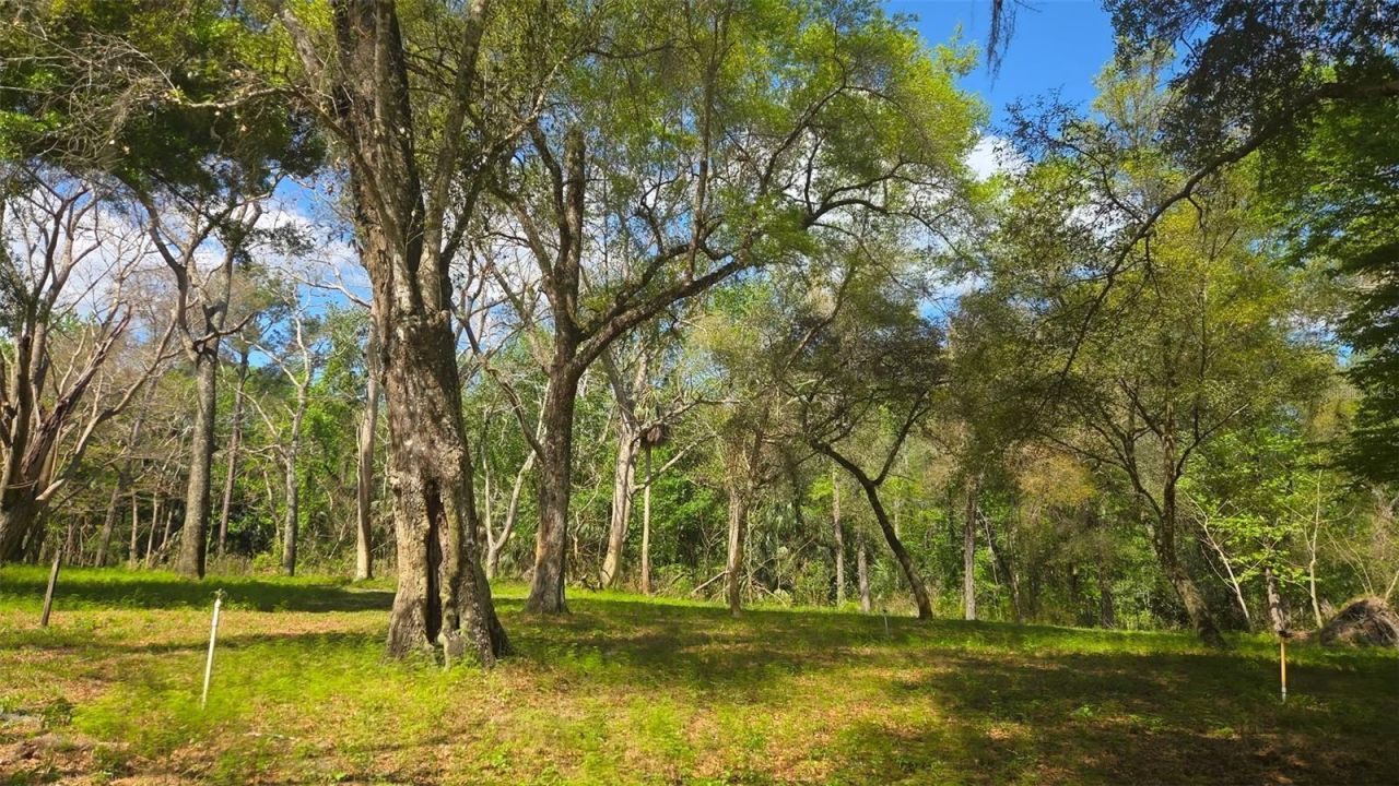 2140 St Johns River Road, Astor, FL 32102 Photo