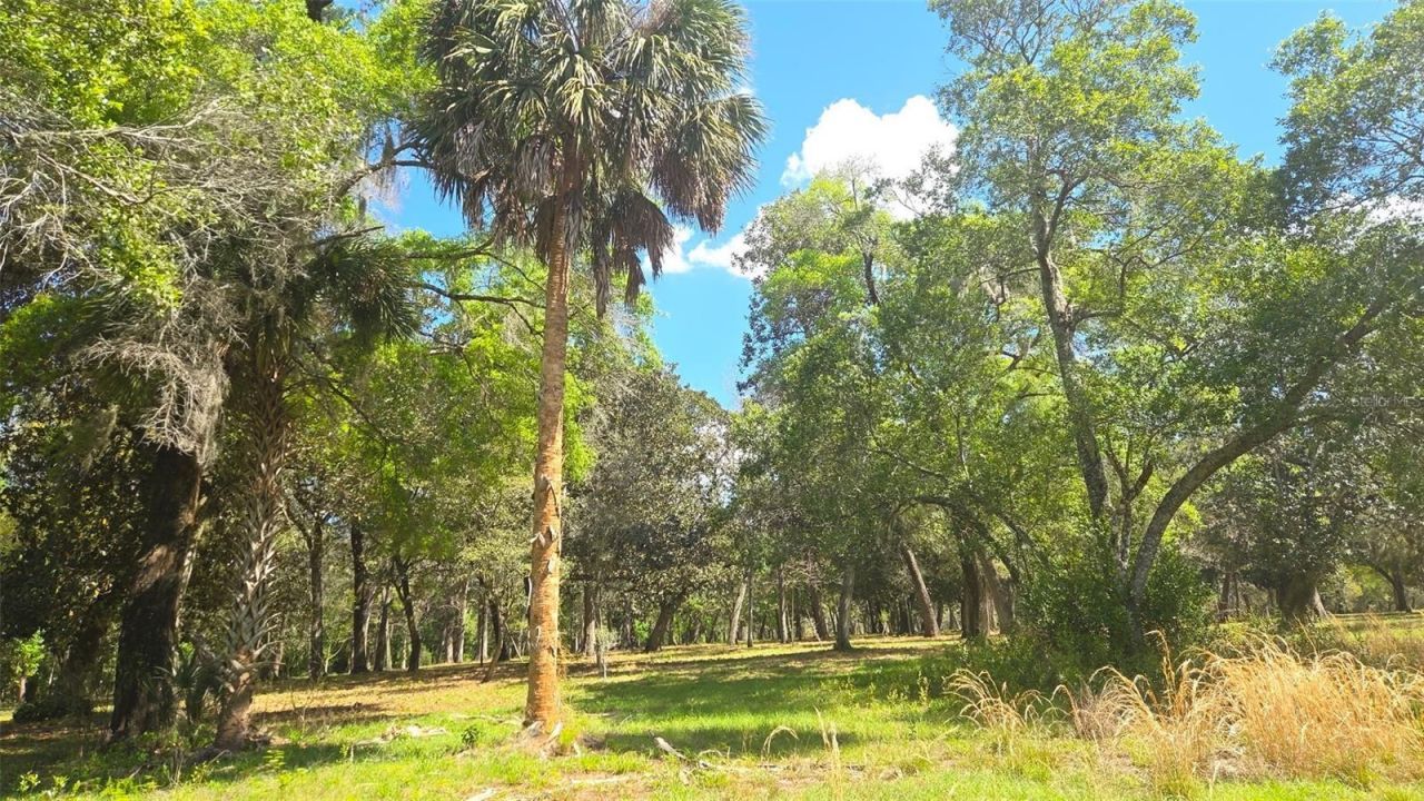 2140 St Johns River Road, Astor, FL 32102 Photo