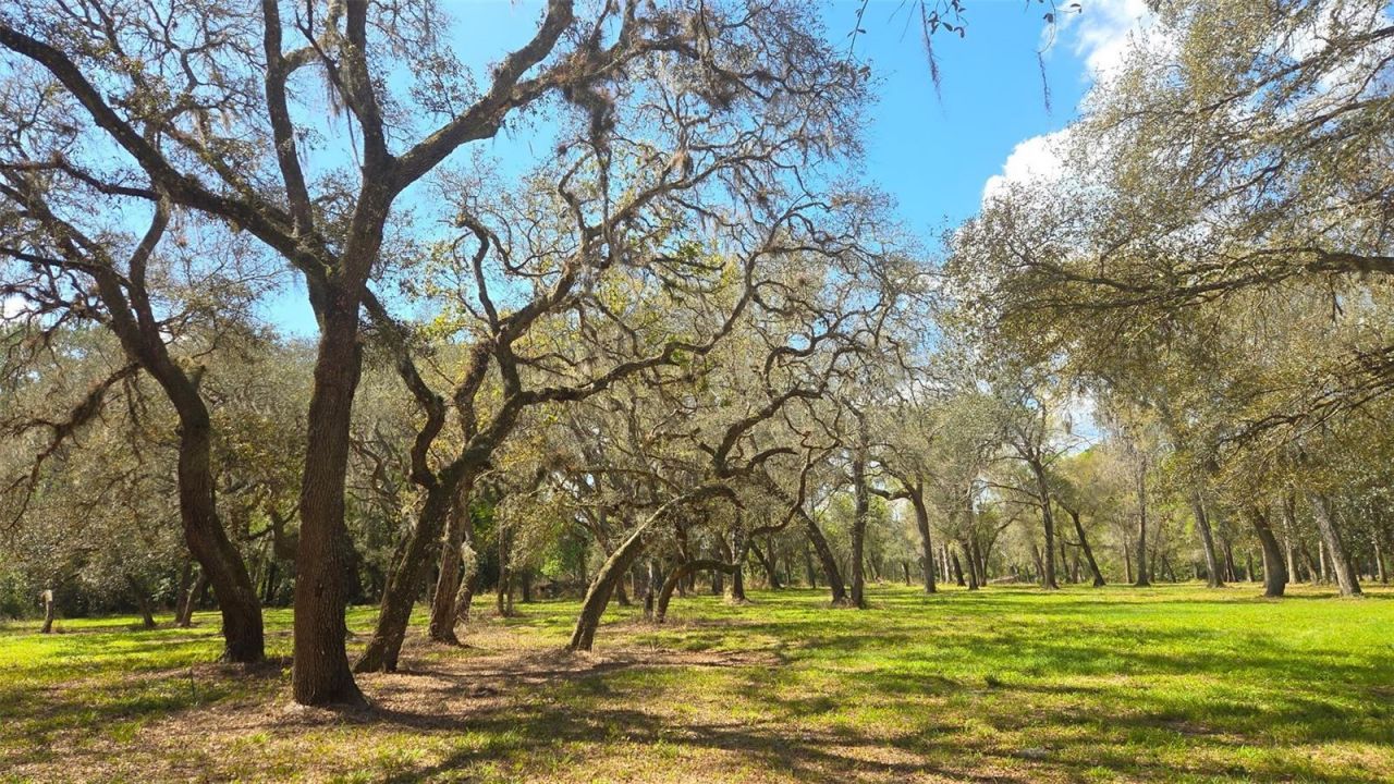 2140 St Johns River Road, Astor, FL 32102 Photo