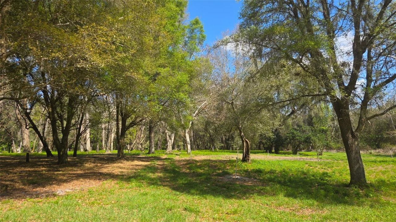 2140 St Johns River Road, Astor, FL 32102 Photo