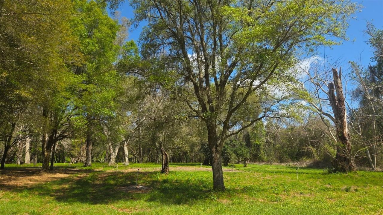 2140 St Johns River Road, Astor, FL 32102 Photo