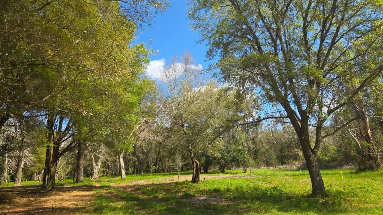 2140 St Johns River Road, Astor, FL 32102 Photo