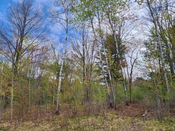 .34 Acres 36TH AVENUE, Unit Hilltop Av, Wausau, WI 54401