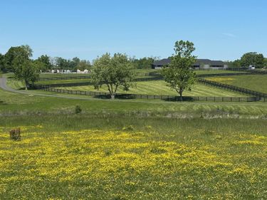 10 Mt. Horeb Pike, Georgetown, KY 40324