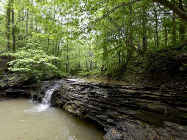 339 Cow Creek Road, Ravenna, KY 40472
