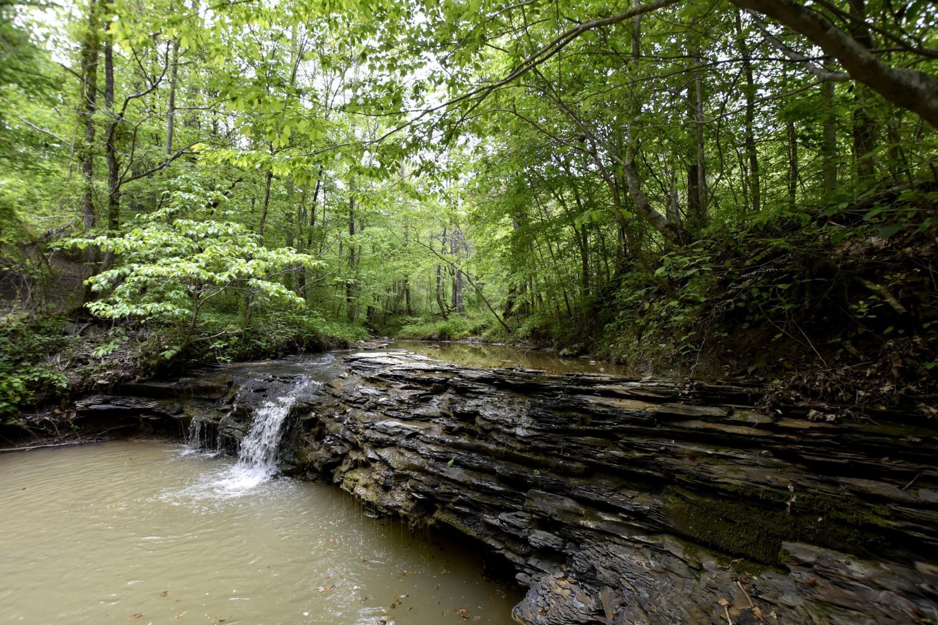 339 Cow Creek Road, Ravenna, KY 40472