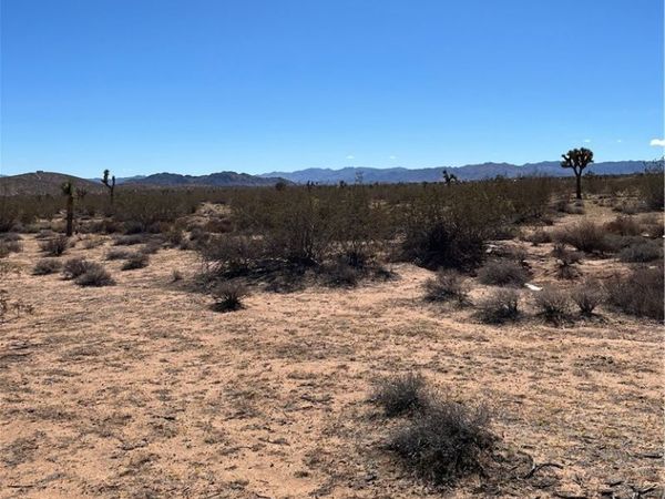 0 Avalon, Landers, CA 92285