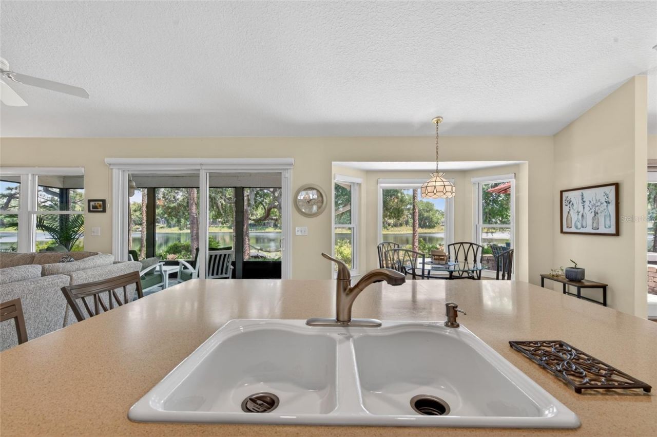 8243 Riviera Shore Court , Orlando, FL 32817 Photo