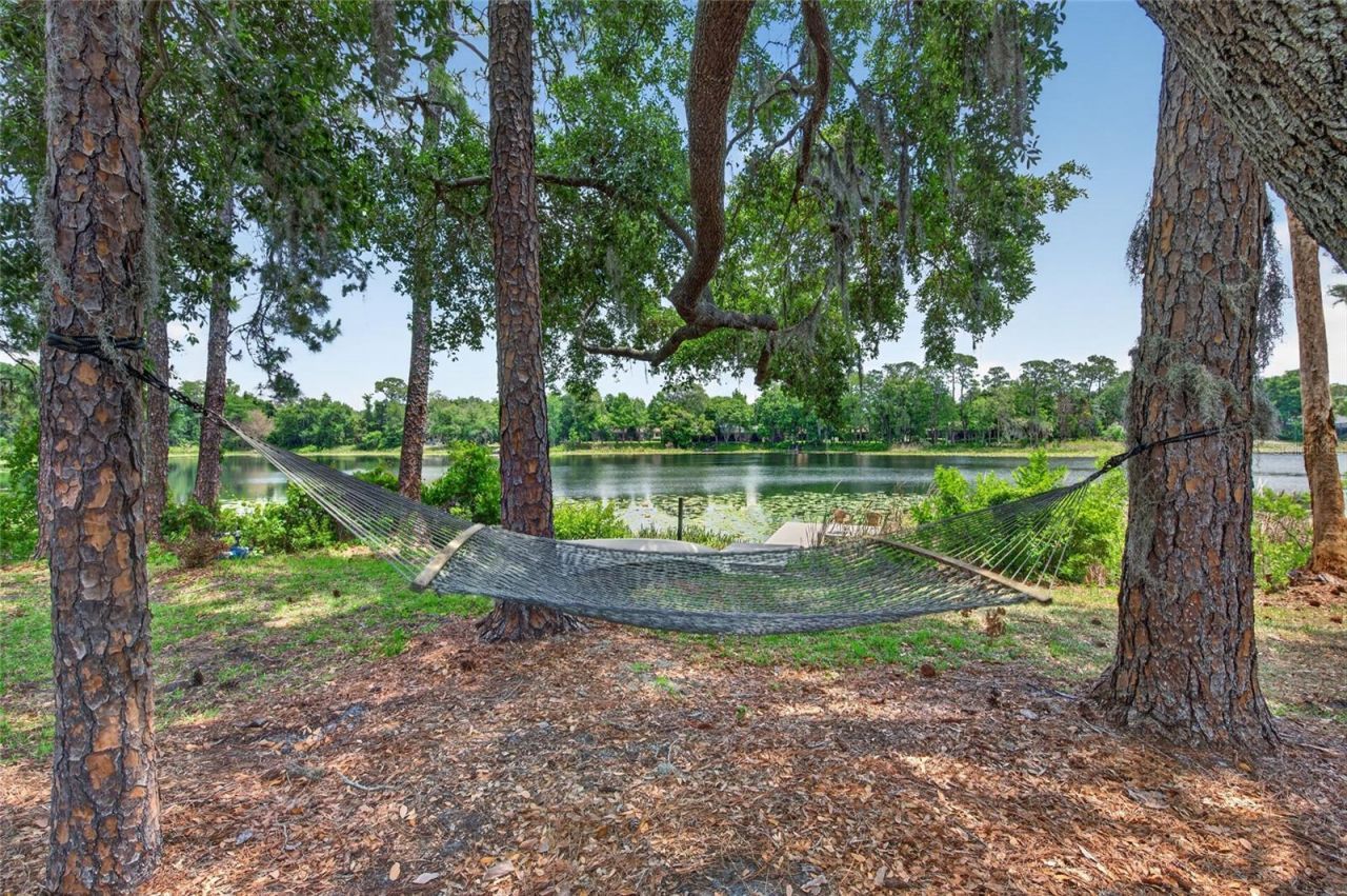 8243 Riviera Shore Court , Orlando, FL 32817 Photo