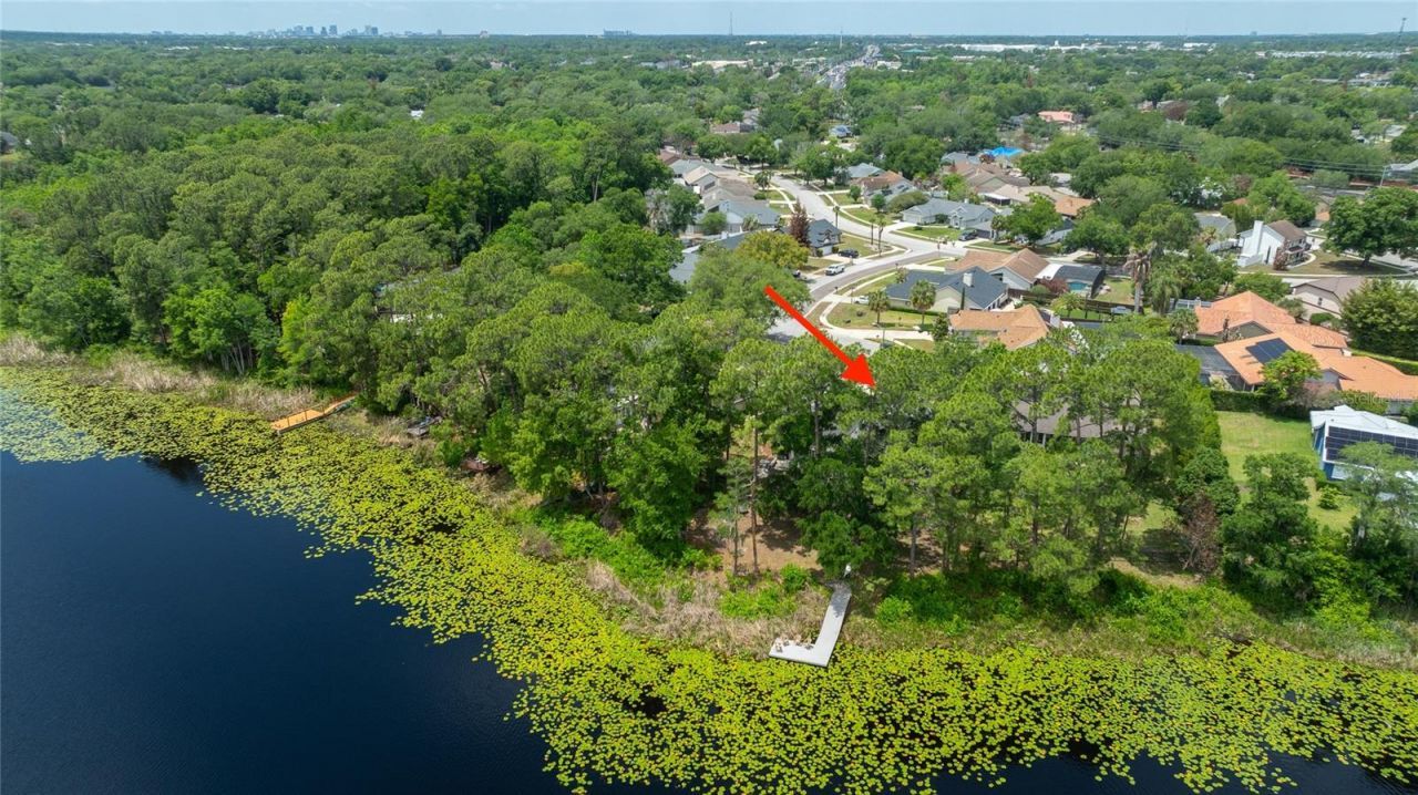 8243 Riviera Shore Court , Orlando, FL 32817 Photo