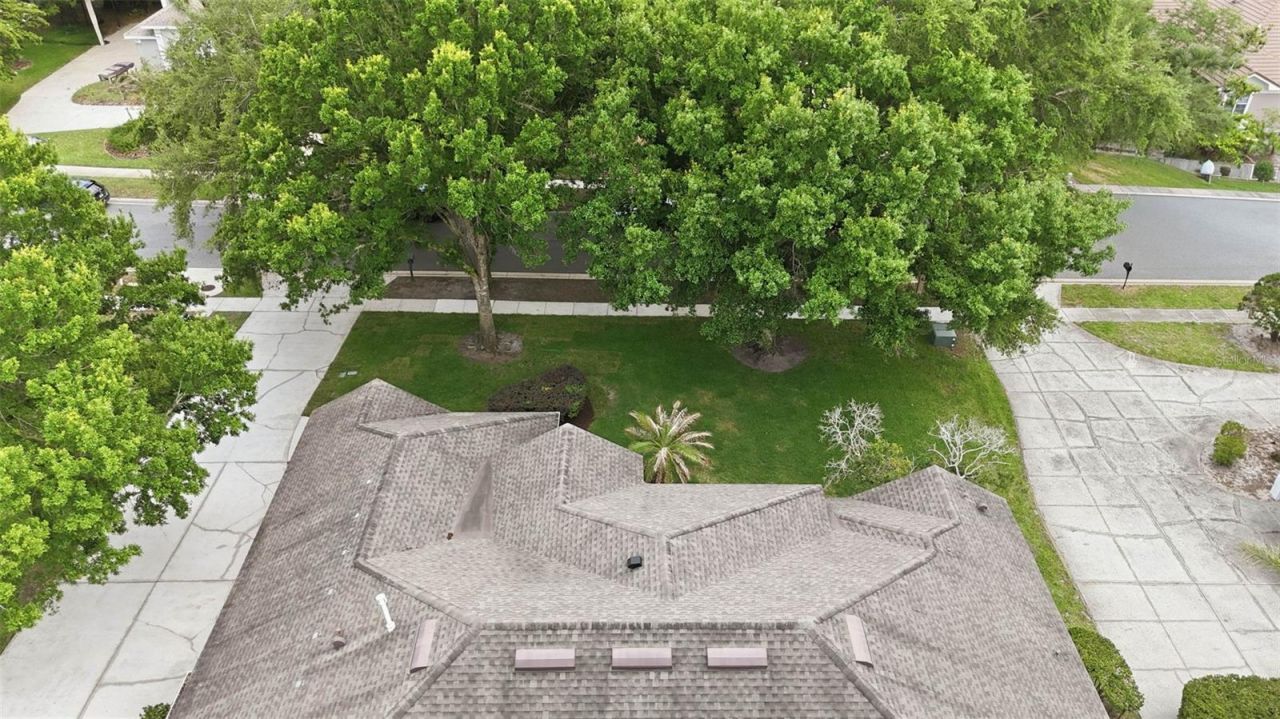 5207 Timberview Terrace, Orlando, FL 32819 Photo