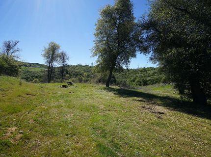 8211 Maranatha Ln, Mountain Ranch, CA 95246 Photo
