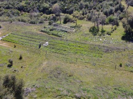 8211 Maranatha Ln, Mountain Ranch, CA 95246 Photo