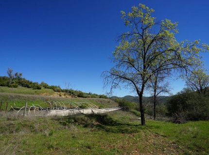 8211 Maranatha Ln, Mountain Ranch, CA 95246 Photo