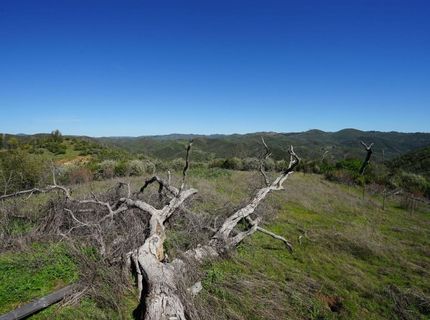 8211 Maranatha Ln, Mountain Ranch, CA 95246 Photo