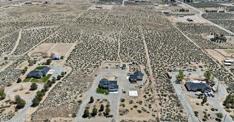 60 Hawk View Road, Wellington, NV 89444 Photo