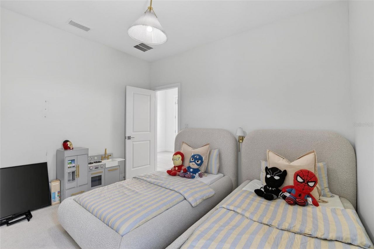 6196 Hidden Branch Drive, Apollo Beach, FL 33572 Photo