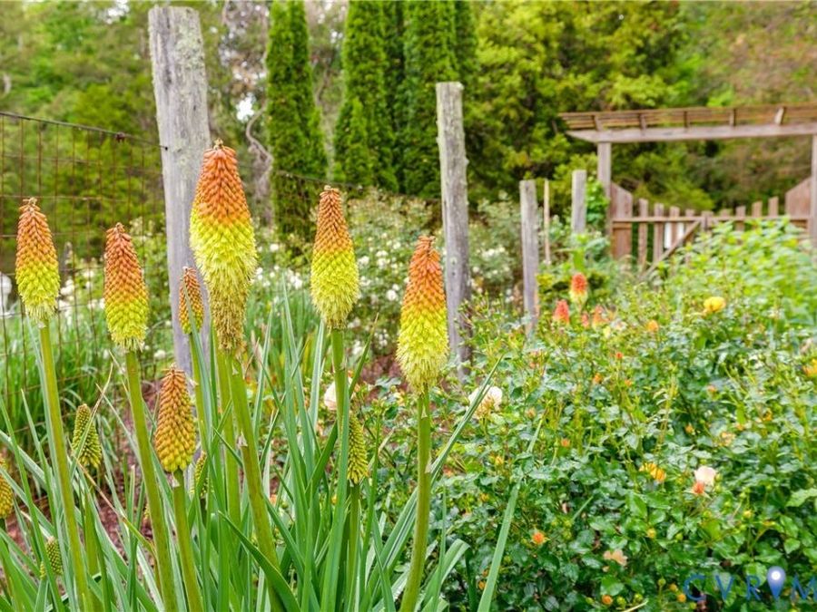Property Image 79