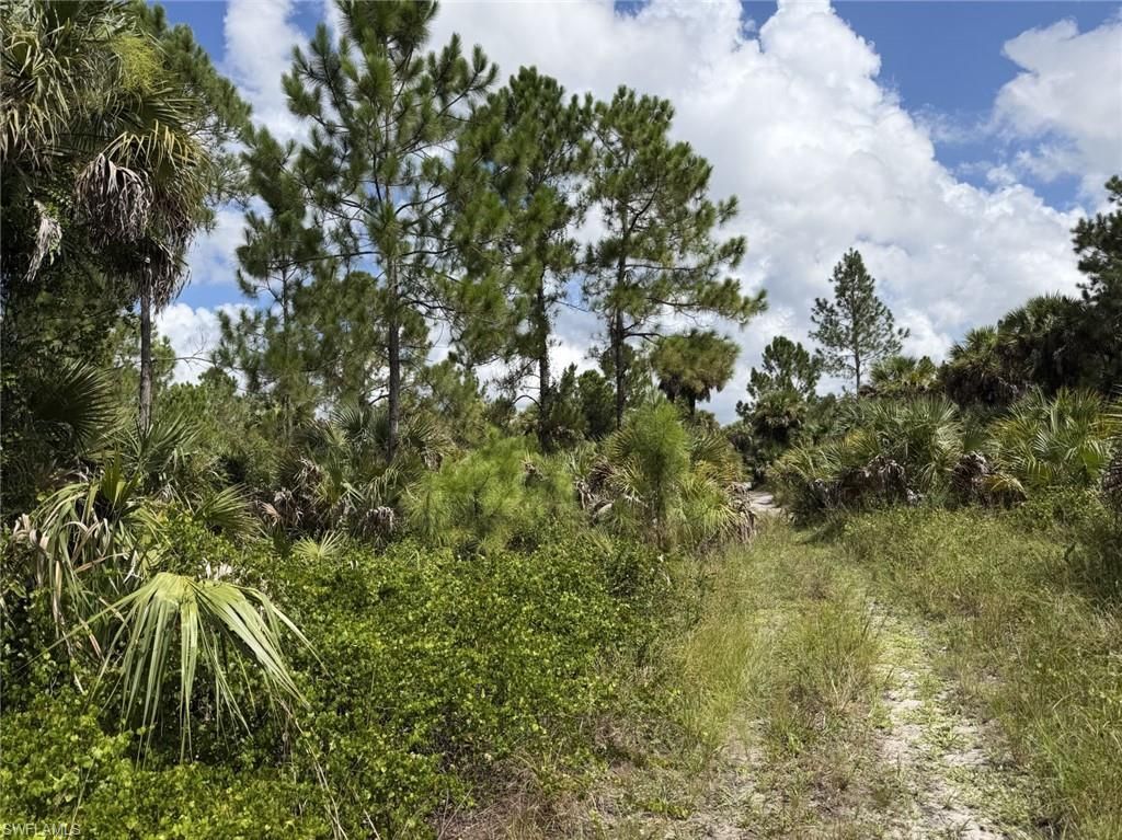 00 Woodland Grade Private Rd, Naples, FL 34117 Photo