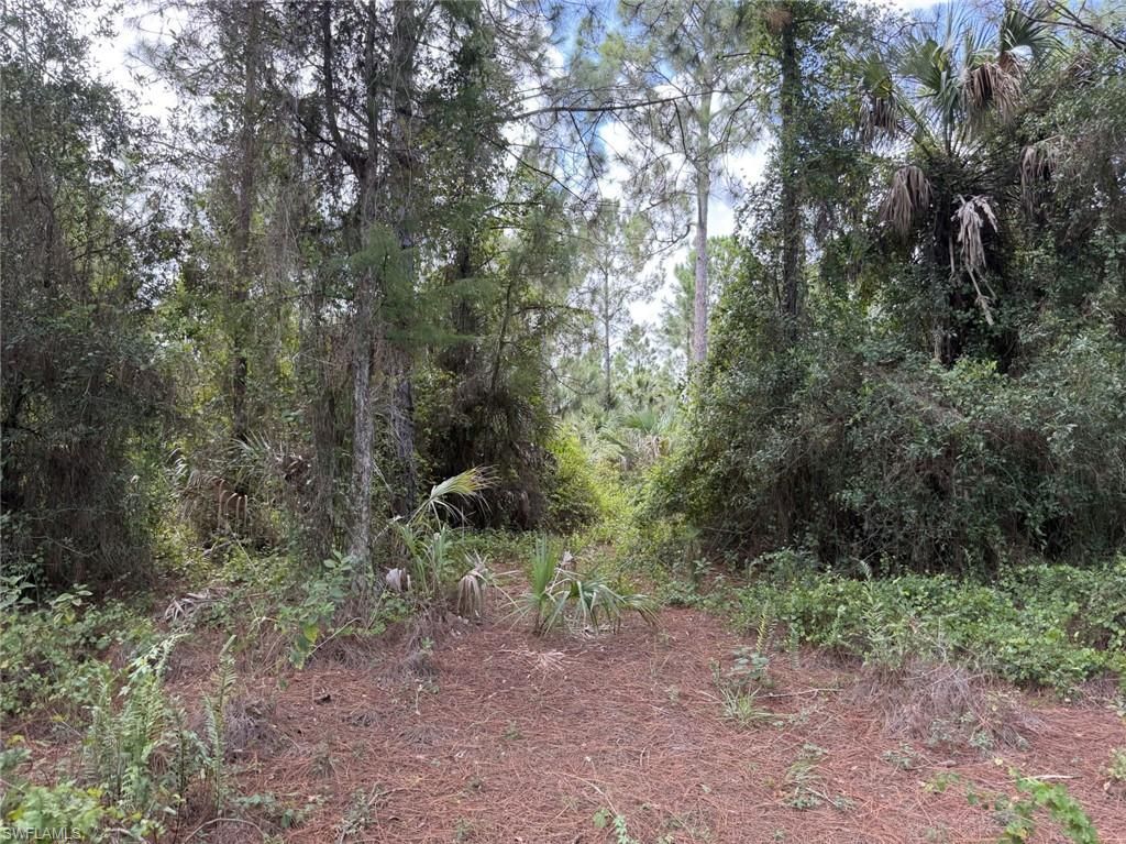 00 Woodland Grade Private Rd, Naples, FL 34117 Photo