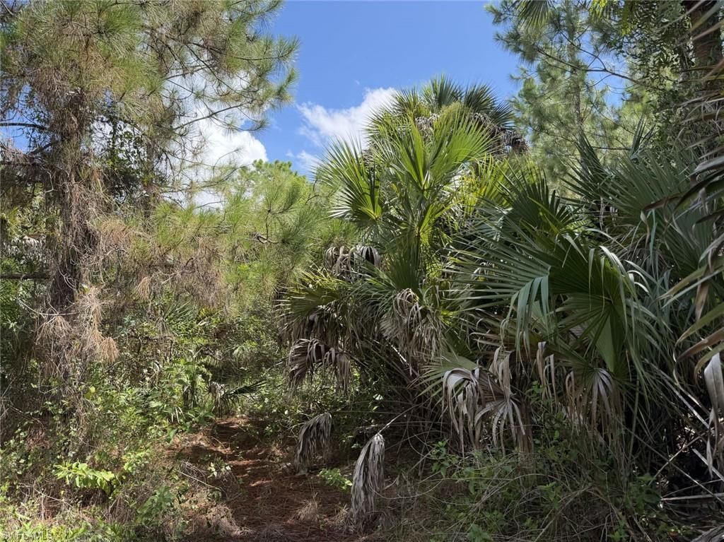 00 Woodland Grade Private Rd, Naples, FL 34117 Photo