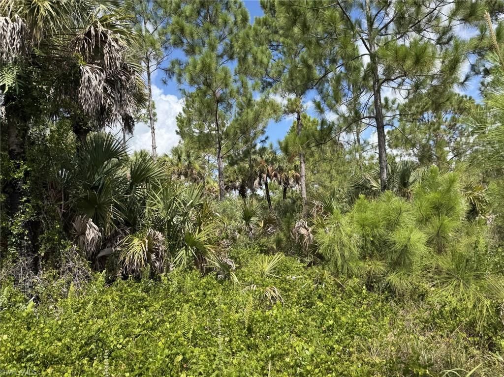 00 Woodland Grade Private Rd, Naples, FL 34117 Photo