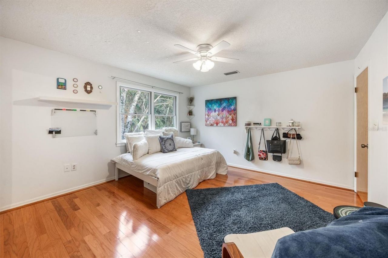 22675 NW 75th Avenue Road, Micanopy, FL 32667 Photo