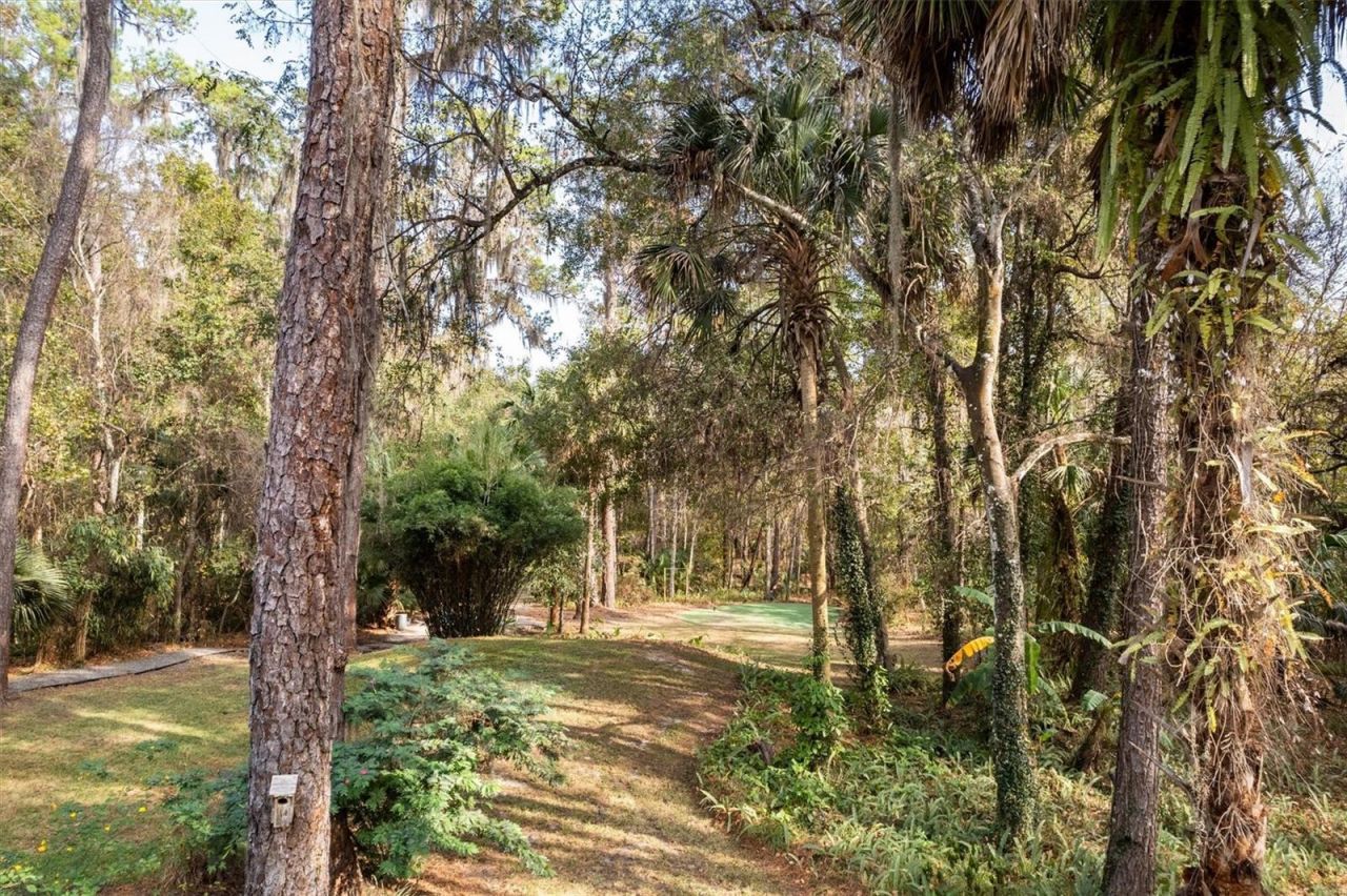 22675 NW 75th Avenue Road, Micanopy, FL 32667 Photo