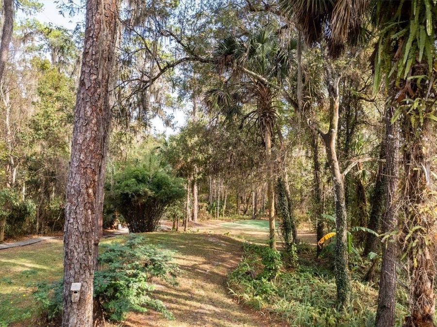 Property Image 53