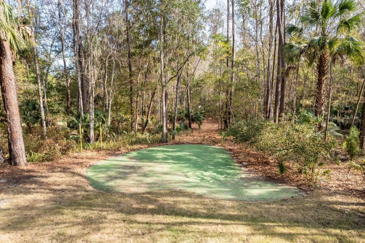 22675 NW 75th Avenue Road, Micanopy, FL 32667 Photo
