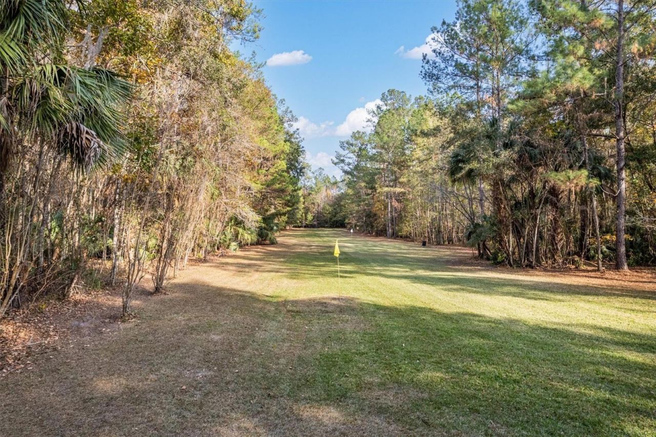 22675 NW 75th Avenue Road, Micanopy, FL 32667 Photo