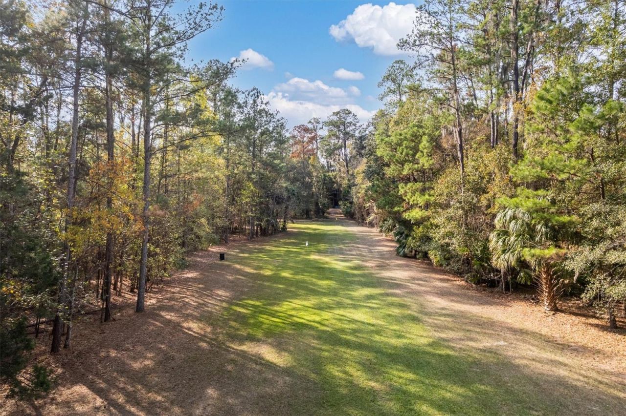 22675 NW 75th Avenue Road, Micanopy, FL 32667 Photo
