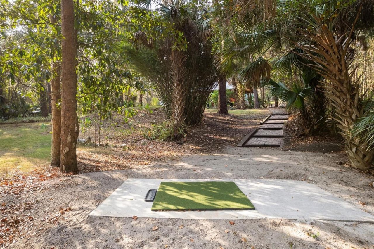 22675 NW 75th Avenue Road, Micanopy, FL 32667 Photo